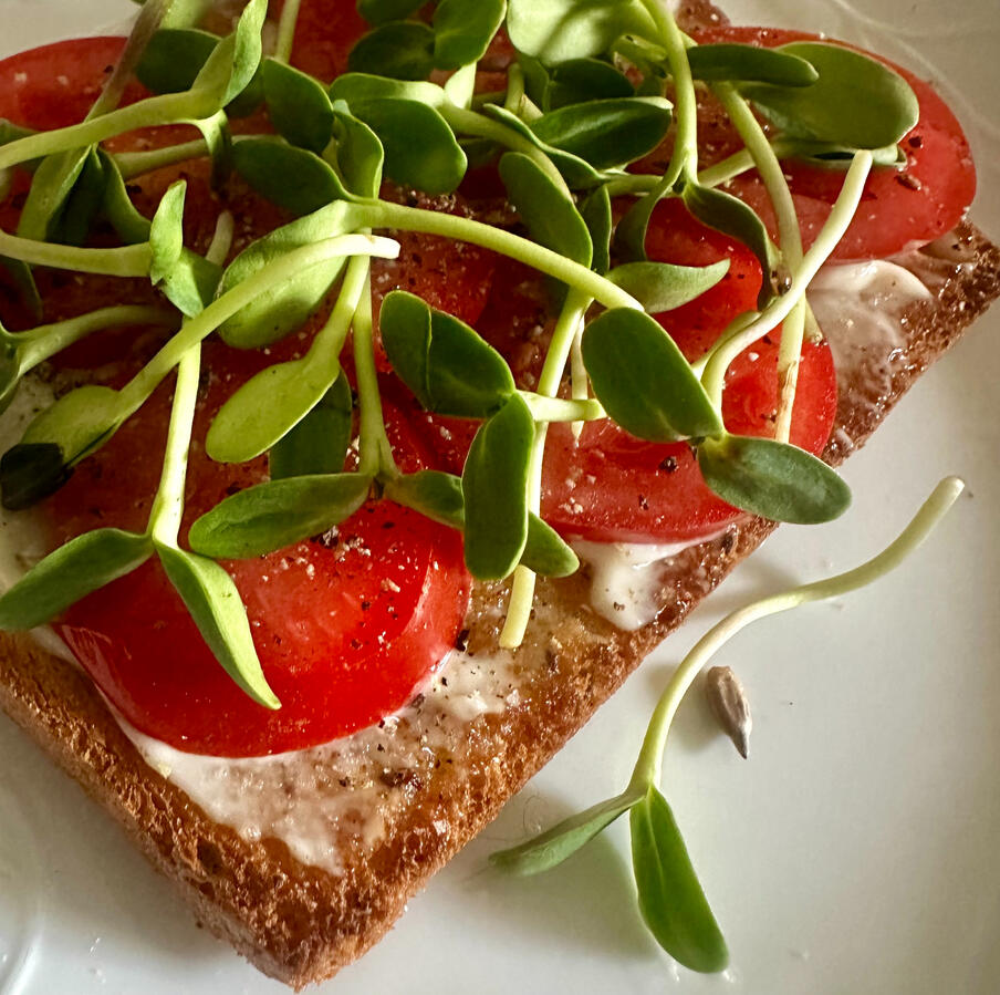 Micro Sunflower Sunflower microgreens on a tomato sandwich.